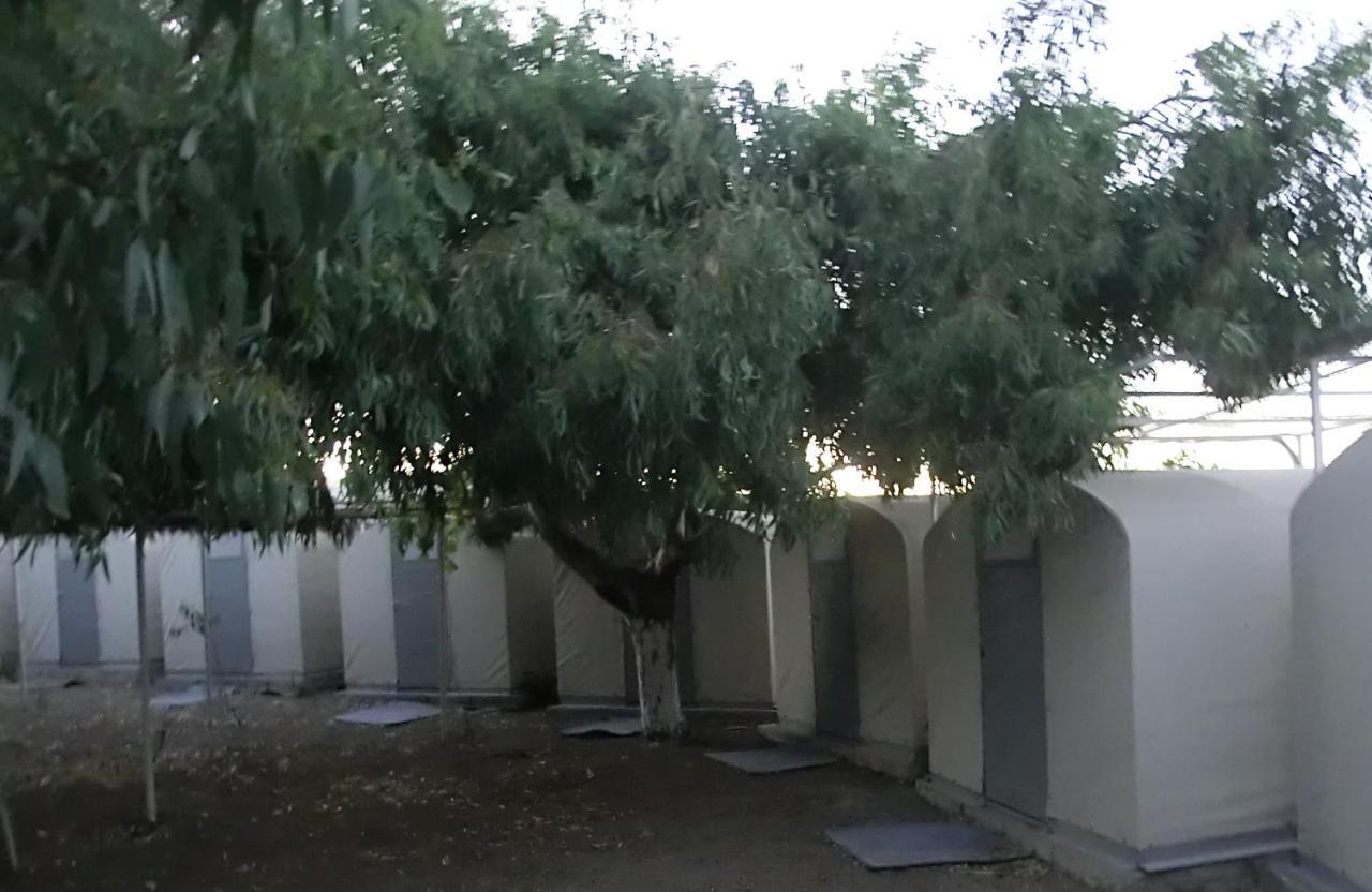 סנטוריני Santorini Camping & Hostel מראה חיצוני תמונה