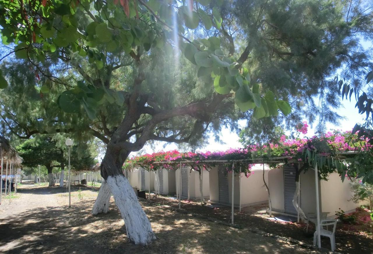 סנטוריני Santorini Camping & Hostel מראה חיצוני תמונה