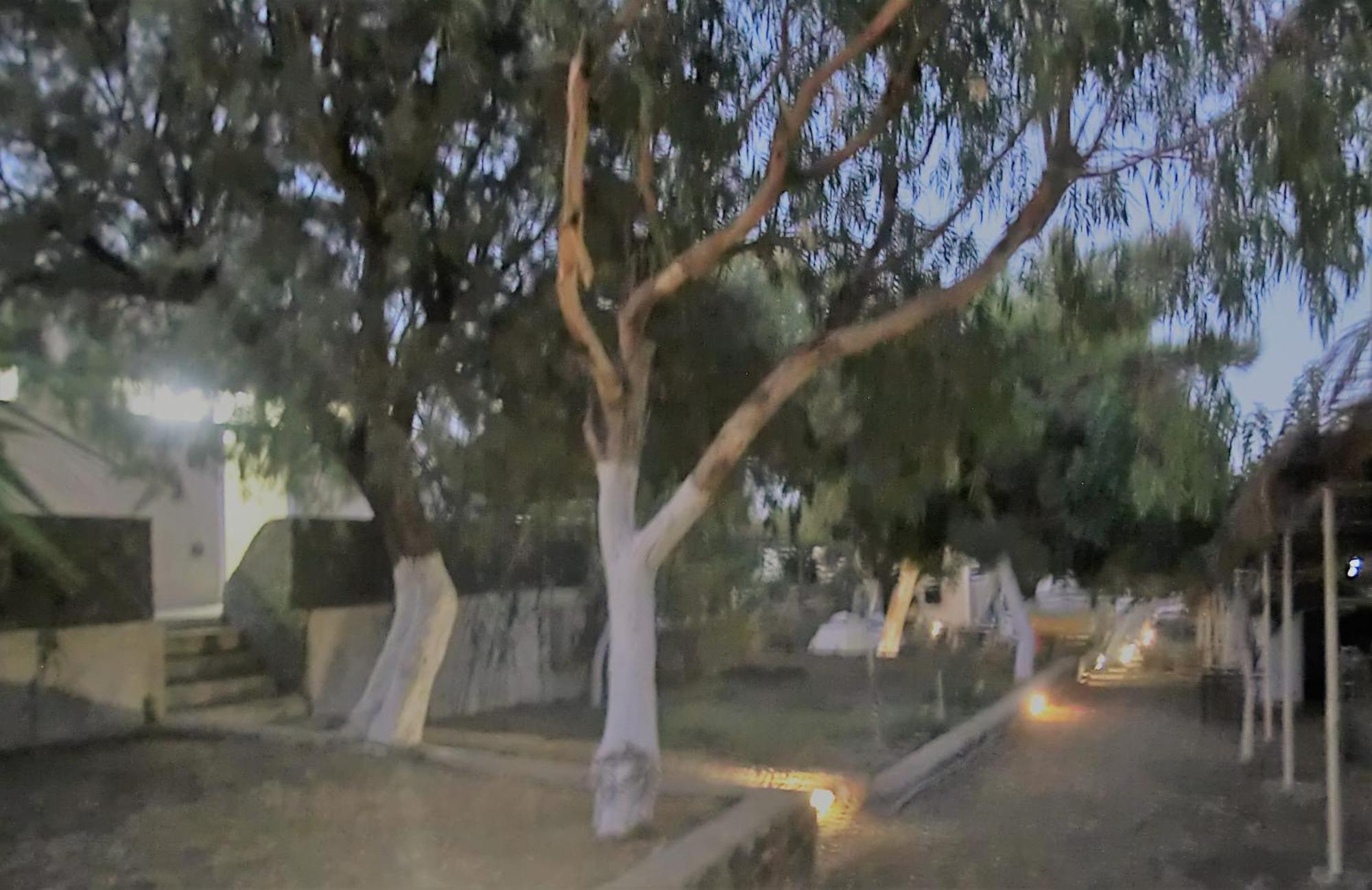 סנטוריני Santorini Camping & Hostel מראה חיצוני תמונה