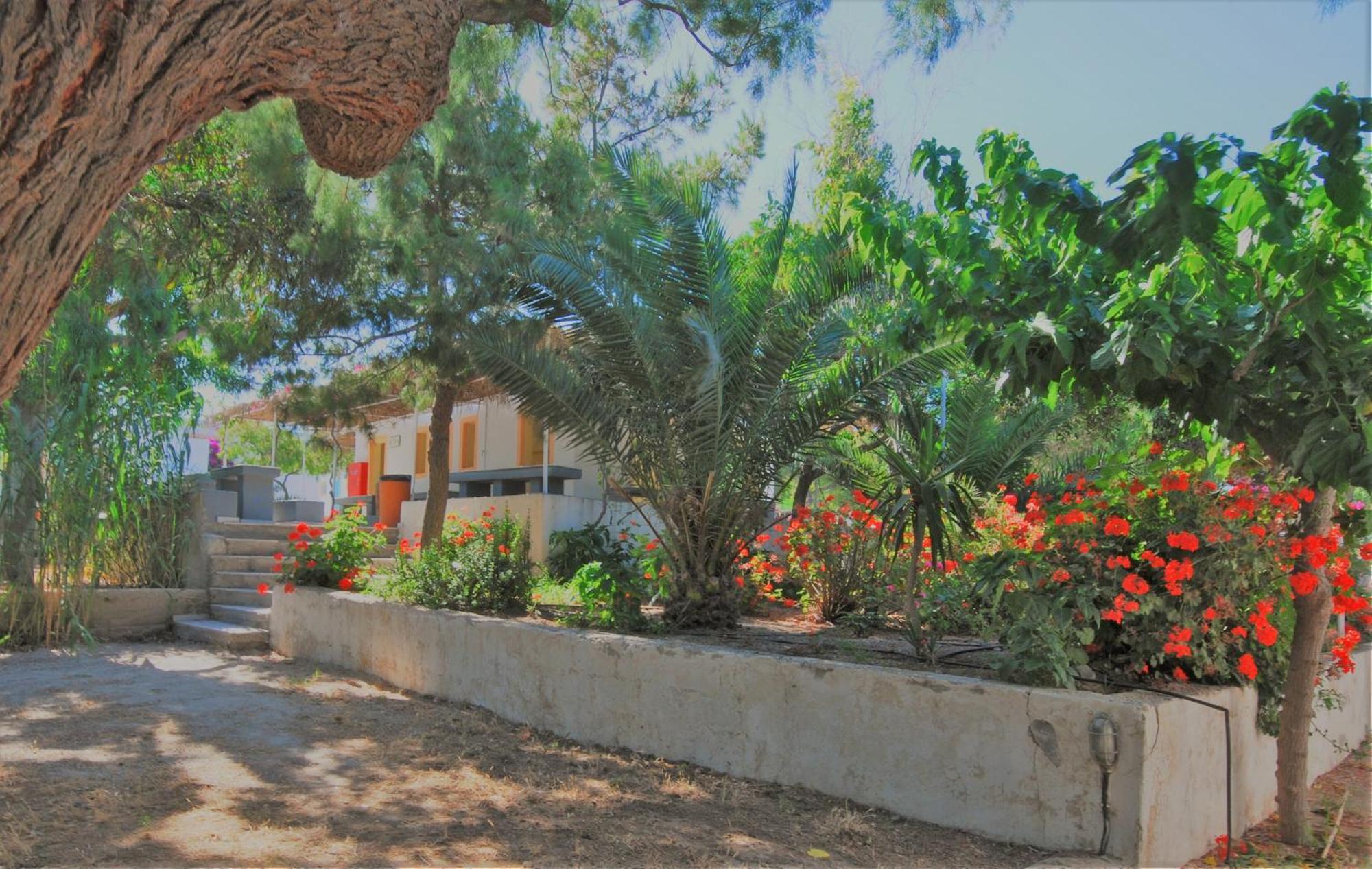 סנטוריני Santorini Camping & Hostel מראה חיצוני תמונה