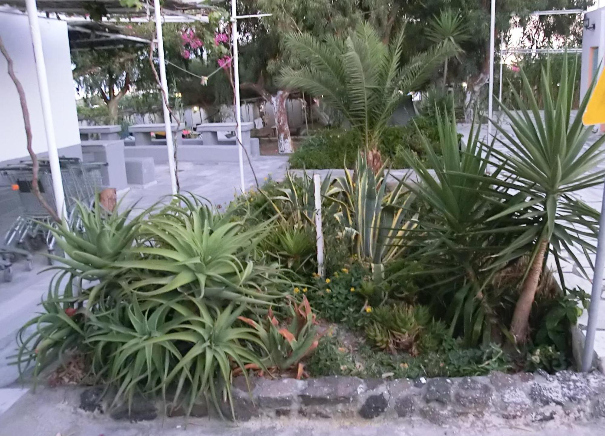 סנטוריני Santorini Camping & Hostel מראה חיצוני תמונה
